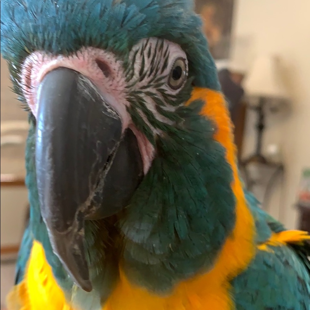 Meet your Posher, Kelly